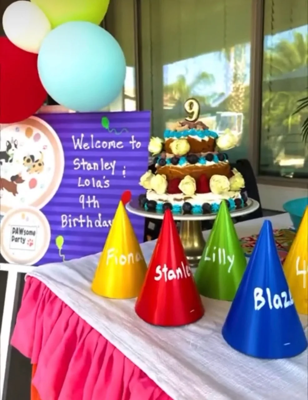 Barksville birthday party with cake, balloons and personalized hats