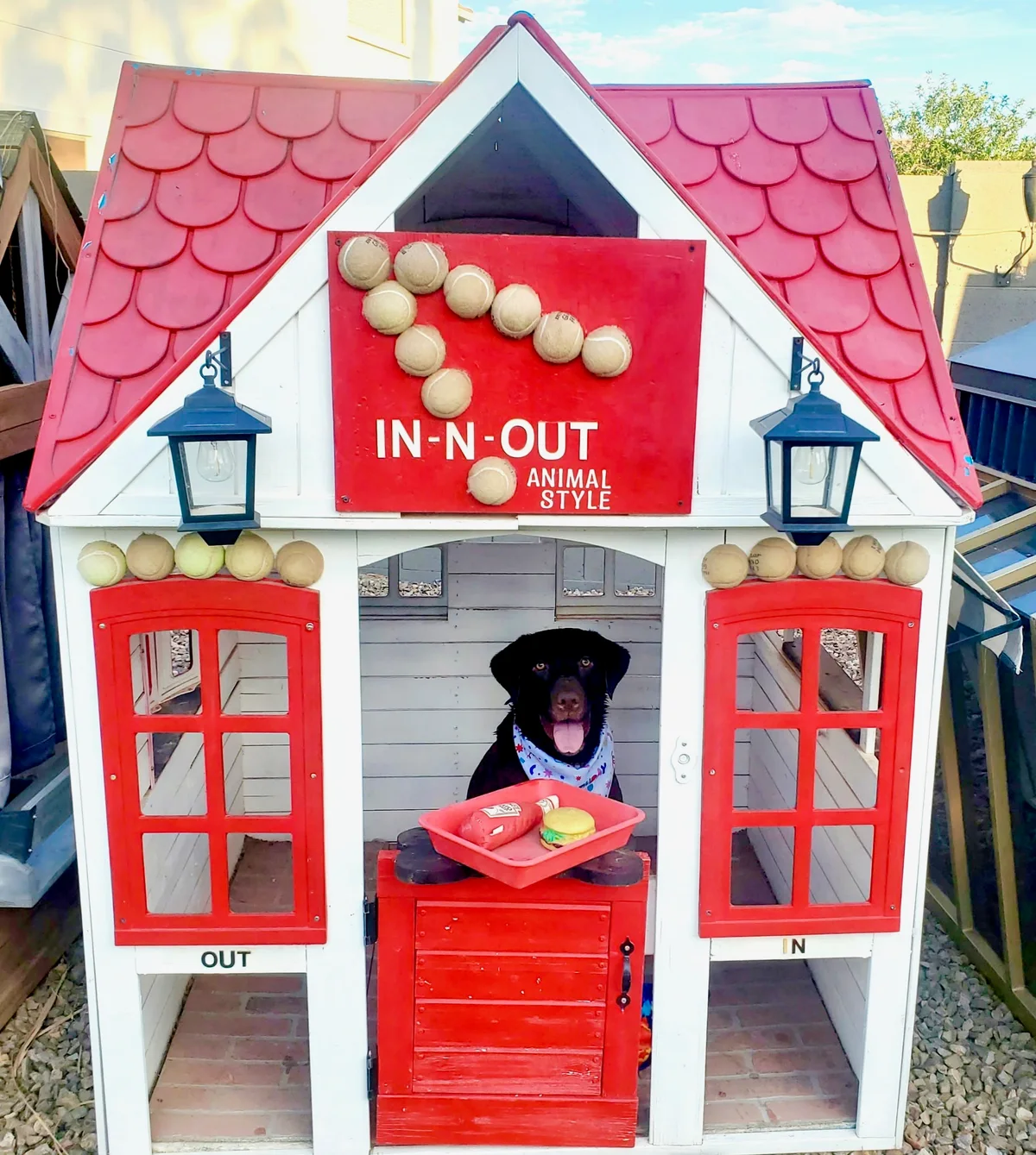 Black dog serving up a smile inside the red and white themed dog house