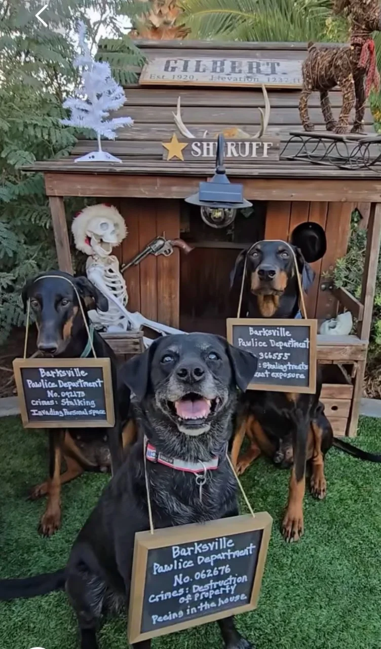 Dogs posing with Barksville Pawlice signs at the sheriff house