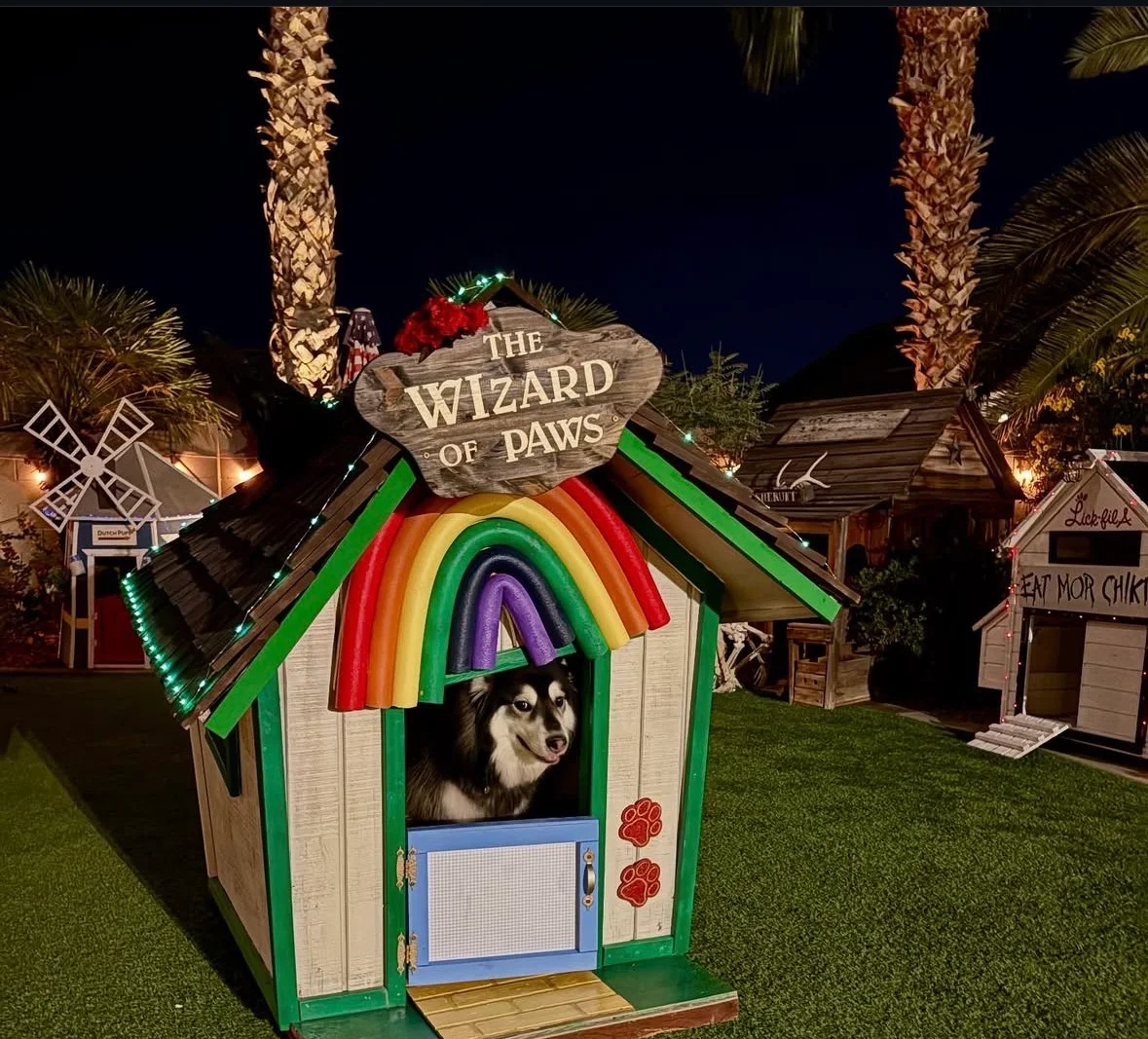 Dog inside The Wizard of Paws house at night